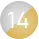 14K Two Tone (WY)